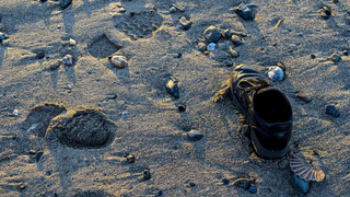 Resuelven el misterio de los 21 pies mutilados que llegaron a la costa de Canadá